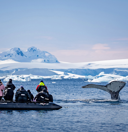 Zodiac Excursion, Fournicer Bay, Antarctica